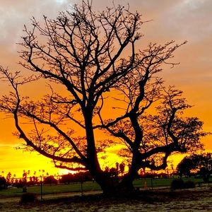 Meet your Posher, Kara